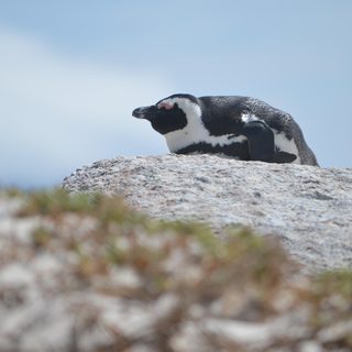 3. Lemo Mall Mangaung Marathon – Bloemfontein, Südafrika