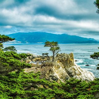 16. Carmel Marathon – Carmel, Vereinigte Staaten von Amerika