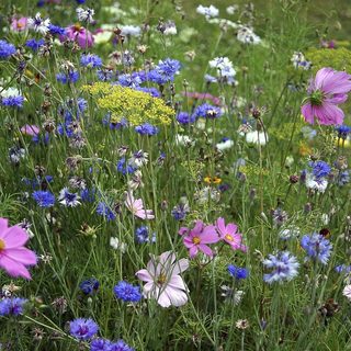 4. Marathon Cote Indigo – Fleury, Frankreich