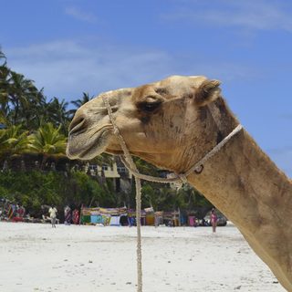 24. Colorado Marathon – Fort Collins, Vereinigte Staaten von Amerika