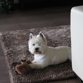 14. Kauno Akropolio Maratonas – Kaunas, Litauen