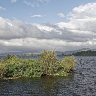 62. Red Stag Rotorua Marathon – Rotorua, Neuseeland