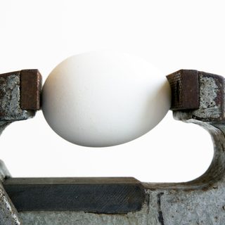 27. Schneider Electric Maasmarathon – Vise, Belgien