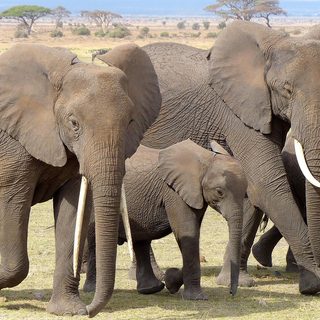 4. Madagascar Marathon – Isalo NP, Madagaskar