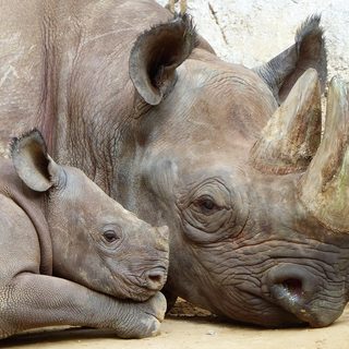 22. Magdeburg-Marathon – Magdeburg, Deutschland