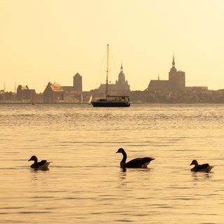 18. Sparkassen Rügenbrücken-Marathon Stralsund – Stralsund, Deutschland