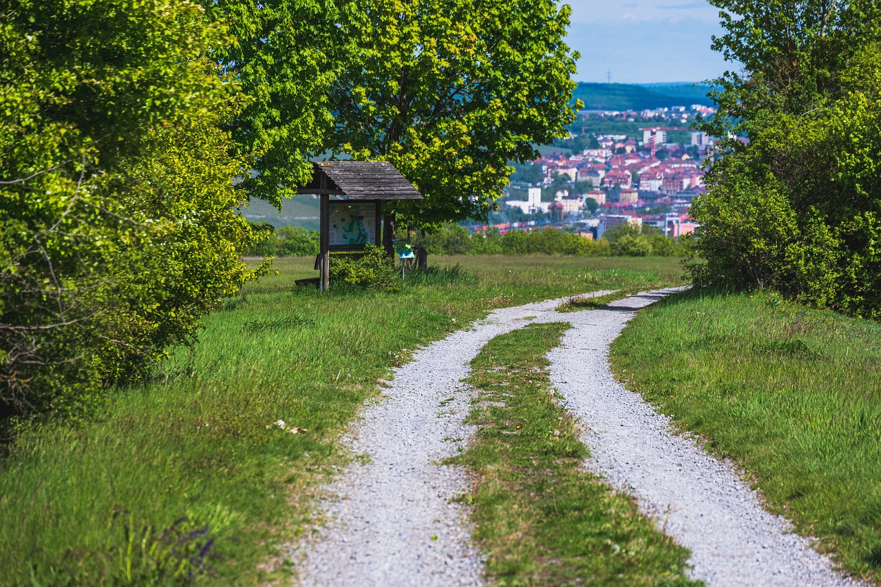 24. WVV Marathon Würzburg – Würzburg, Deutschland