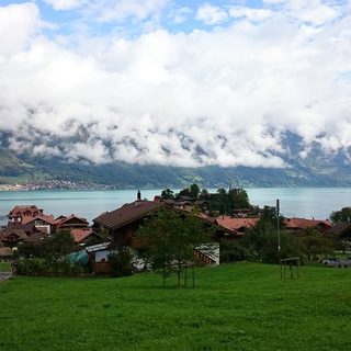 Neujahrsmarathon Zürich (New Year’s Marathon Zurich) – Zürich-Schlieren, Schweiz